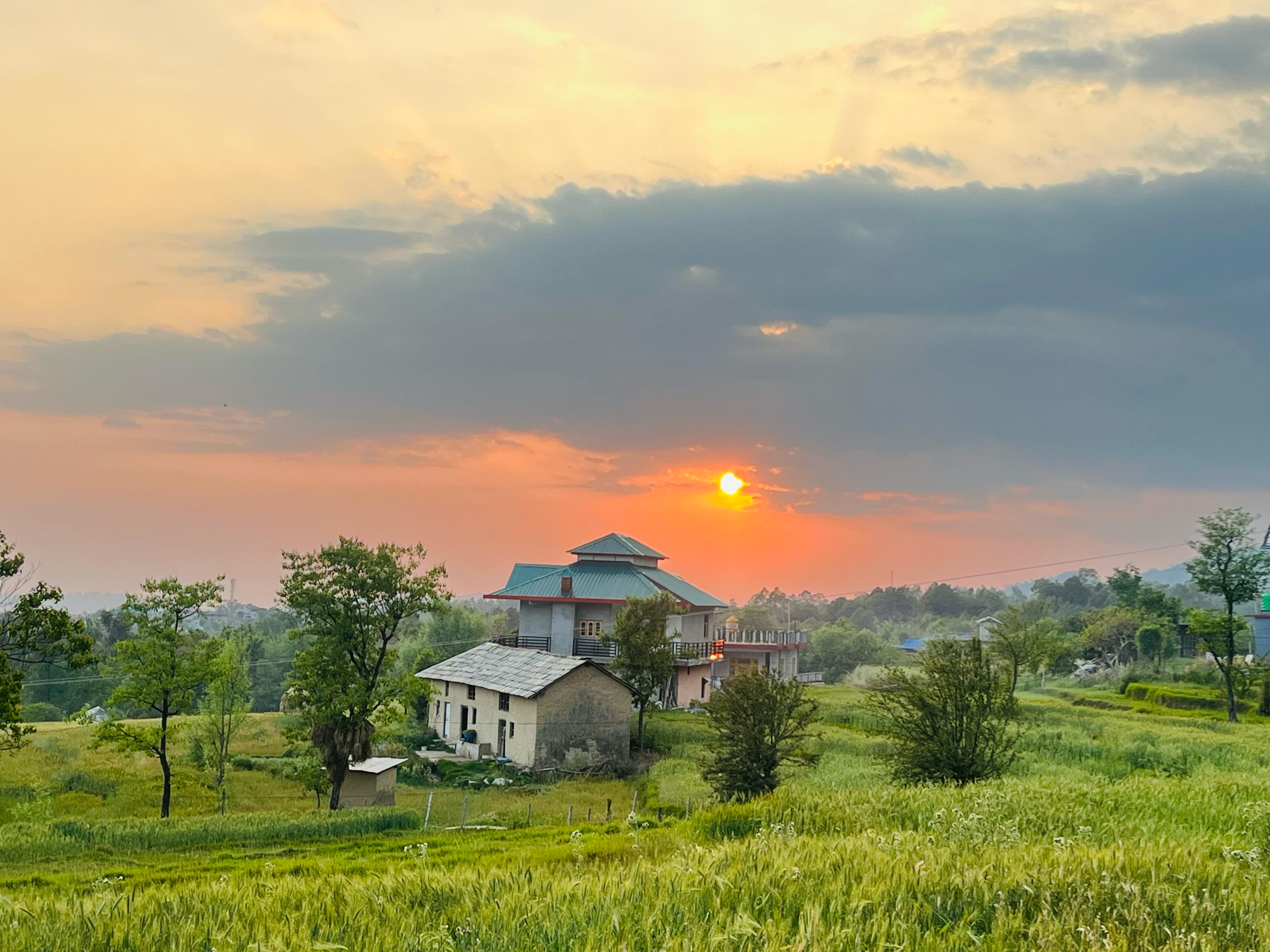 Mountain living at the homestead