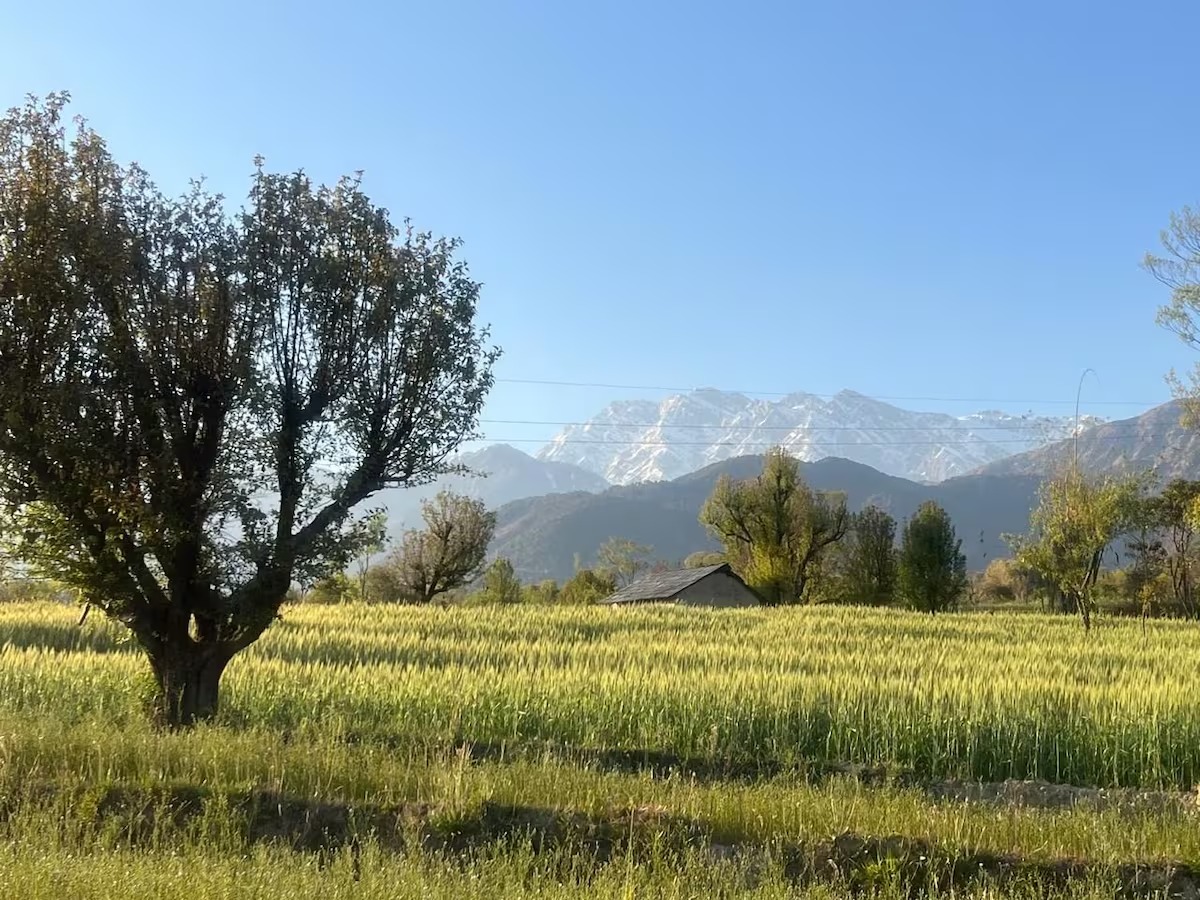 Whole Home common area