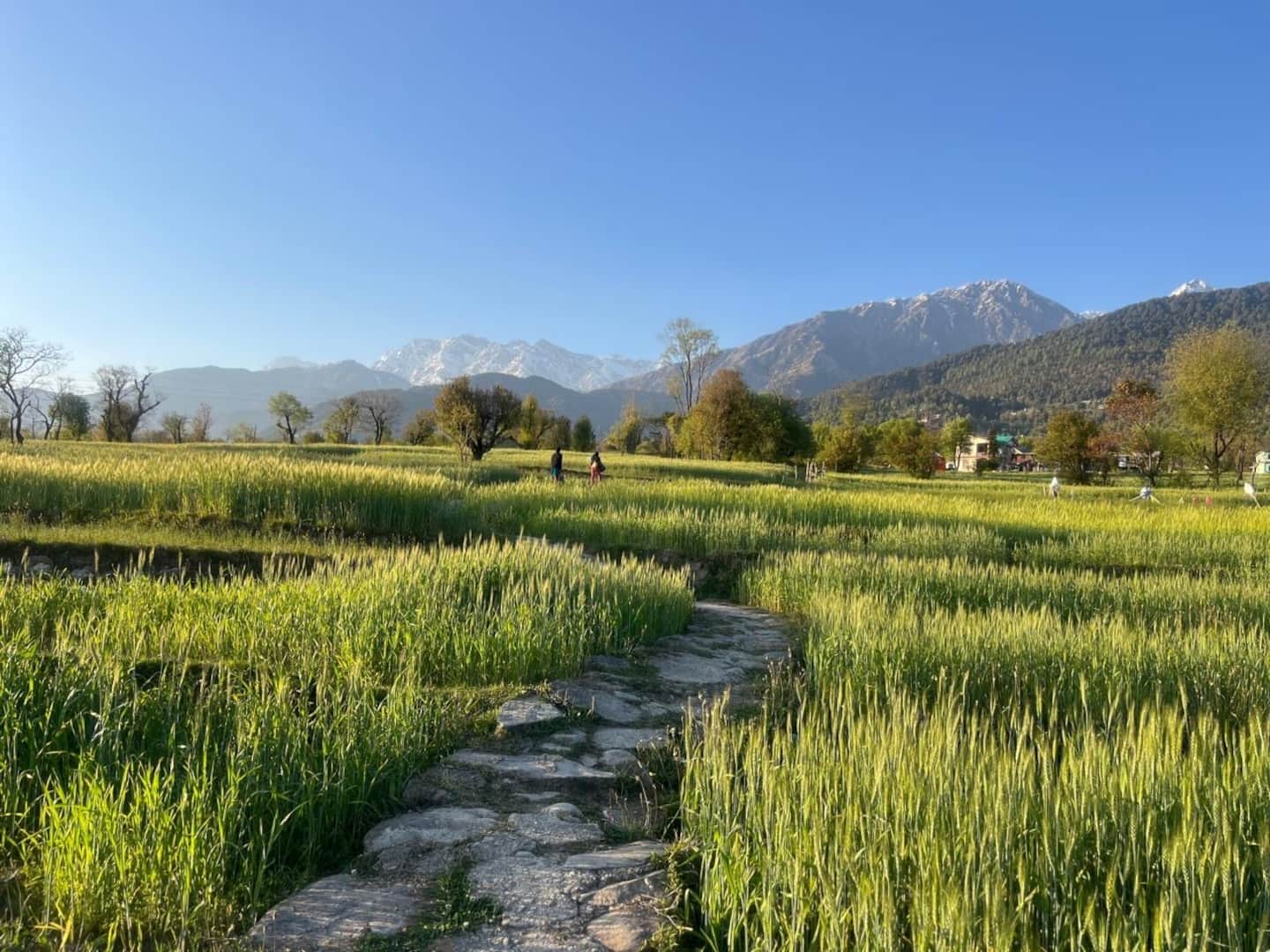 Mountain views from terrace