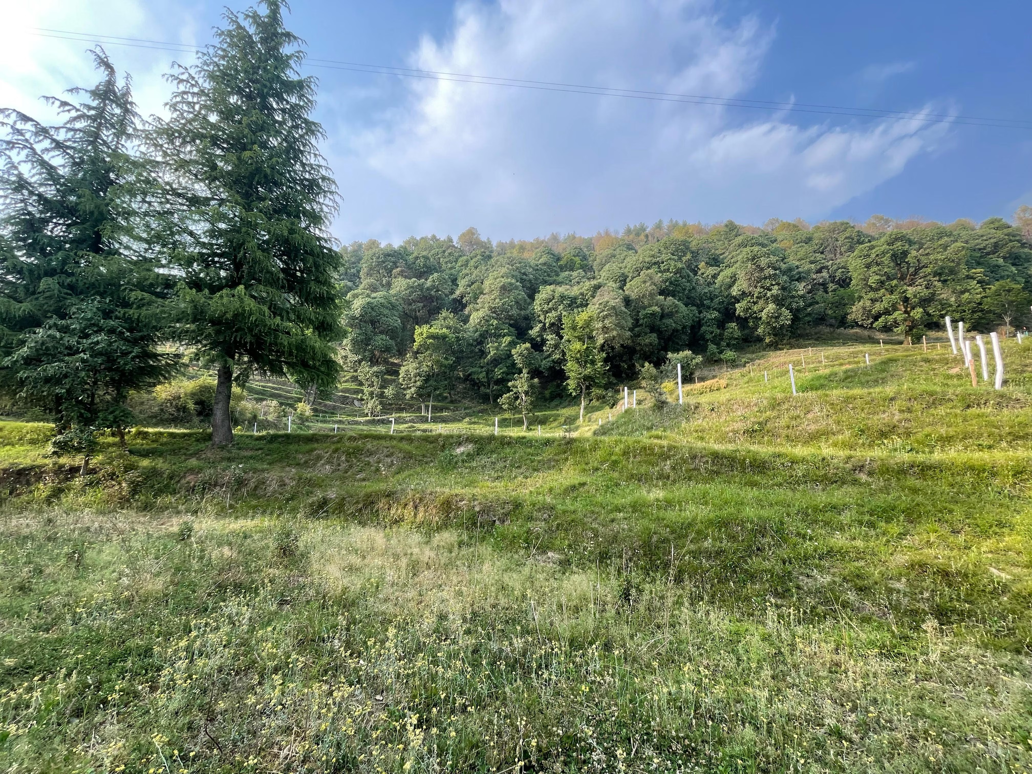 Private Room window view